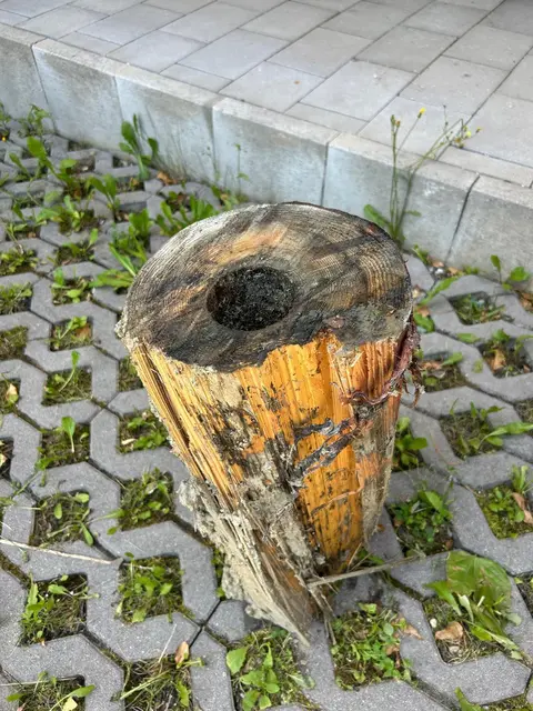 In der Nähe des Pfarrheims ist eine uralte Holzwasserleitung zum Vorschein gekommen. | Foto: Marktgemeinde Windischgarsten