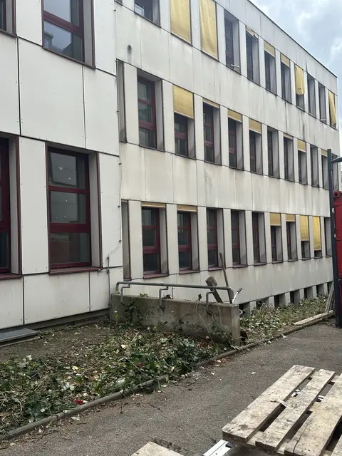 Die für die Schulsanierung beauftragte Baufirma hat die Hecke, in der etliche Vögel lebten, gerodet. | Foto: Anne Eck