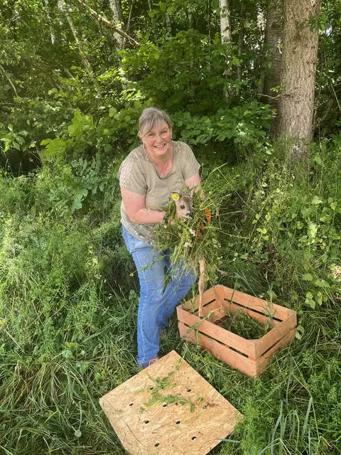 Foto: Rehkitzrettung Nockregion