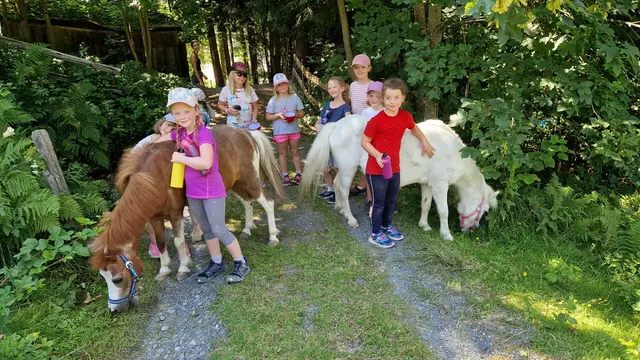 Auf der Grukodil-Farm in Saalfelden (Uttenhofen 28) gibt es neben dem regulären Angebot auch ein spannendes Sommerprogramm. | Foto: Grukodil-Farm