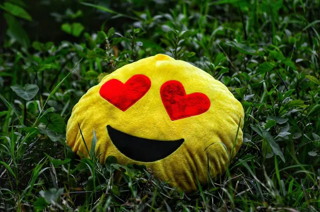 Auch in Salzburg sind Emojis aus der täglichen Kommunikation nicht mehr wegzudenken. | Foto: pixabay.com