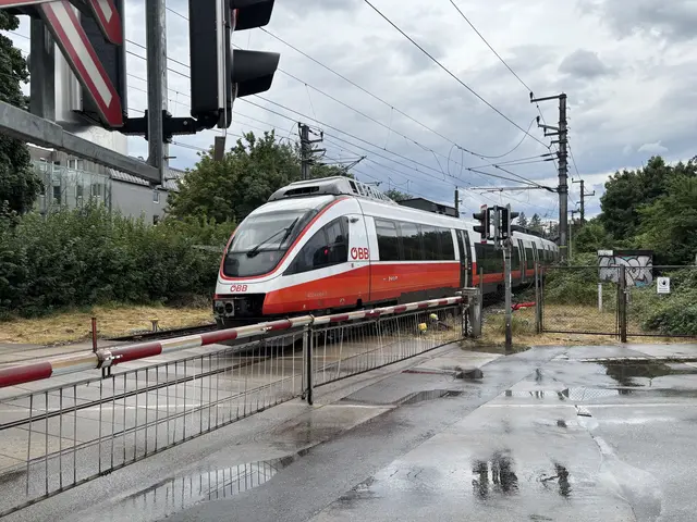 Das offenstehende Tor könnte Fußgänger dazu verleiten, den Bahnübergang trotz geschlossener Schranke zu überqueren.  | Foto: Matthias Pandrea