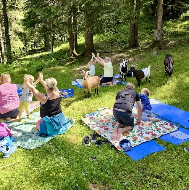 Hier sind die Ziegen der Boss: Die gemeinsame Yoga-Einheit kam bei den Teilnehmenden gut an. | Foto: Glaser