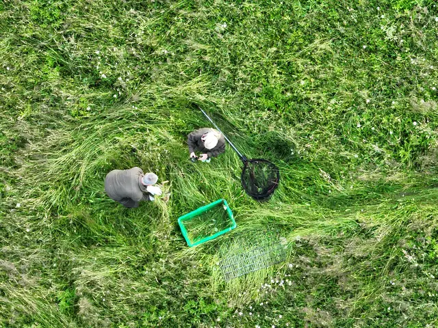 Foto: Rehkitzrettung Nockregion