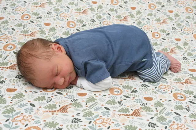 Geburt. KOPFING: Stefanie und Michael Grüneis ein Johannes
 | Foto: BabySmile