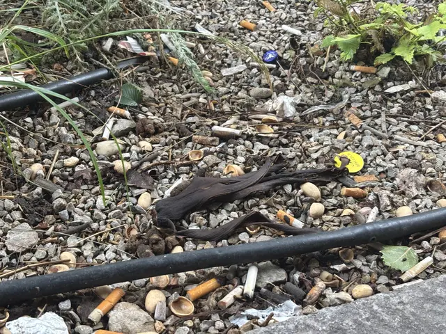 Tschick, Plastik und Essensreste: Die Grünflächen in der Zieglergasse sind keine "Oasen" mehr. | Foto: Sarah Marie Piskur / MeinBezirk