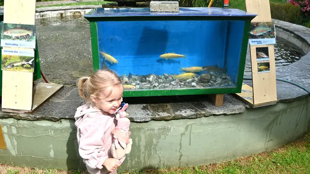 Die zweijährige Sophia aus Untertweng