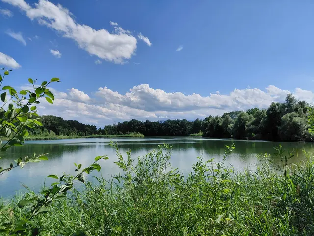 Weithwörter Au  | Foto: H.Bachinger