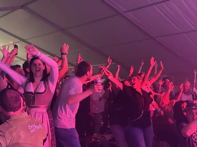 Die Band zündete ein musikalisches Feuerwerk in Hausbrunn.  | Foto: Thiem/MeinBezirk