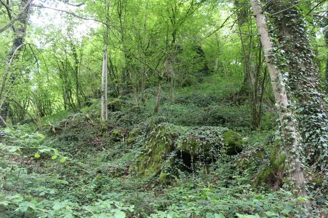 Überreste der Burgruine Mitterberg im Wald. | Foto: MeinBezirk Perg/Köck