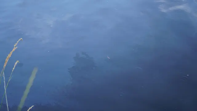 Der Einsatzleiter der FF Kapelln stellte rasch fest, dass es sich um einen umfangreichen Schadstoffaustritt handelte.  | Foto: Doku NÖ