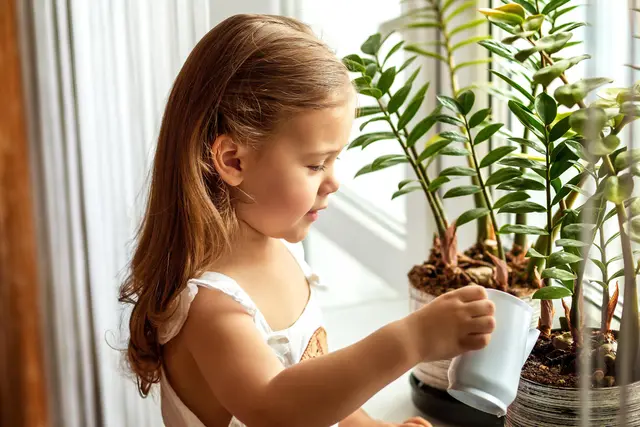 Foto: AdobeStock   
