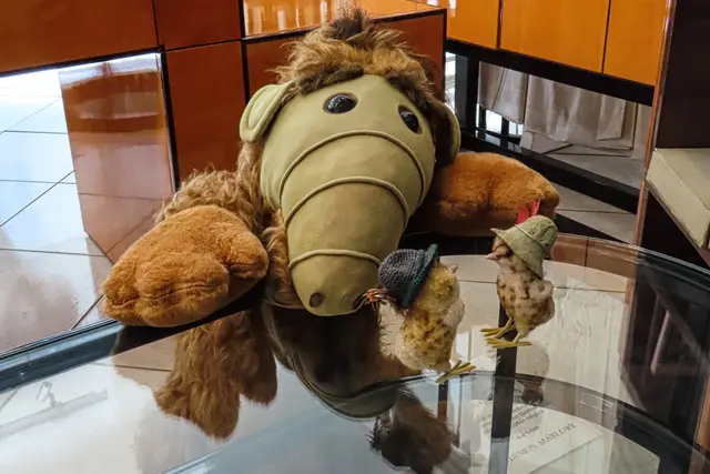 Na, aber hallo - Du bist doch kein Bär! Und was für ein Glück, dass Du lieber Katzen als Vögel frisst!