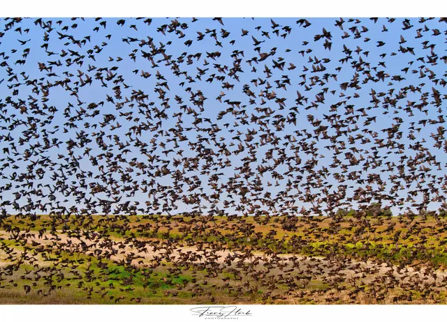 Am Freitag überwiegt im Westen und Süden bereits wieder der Sonnenschein bei steigendem Luftdruck | Foto: Franz Harb