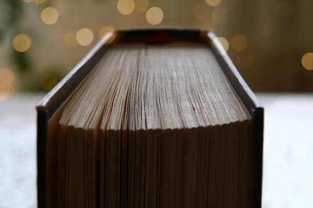 Bücher sind eine gute Unterrichtsgrundlage, doch die Erzählungen der Zeitzeugen sind unersetzlich. | Foto: marioosh/pixabay
