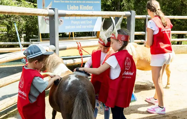 Auf der "Pony-Putzstation" wird fleißig gestrigelt. | Foto: Gut Aiderbichl