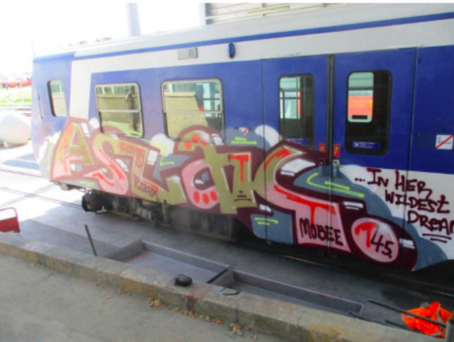 In der Bahnstraße in Horn wurden zwei deutsche Staatsbürger von Mitarbeitern des ÖBB-Sicherheitsdienstes beim mutmaßlichen Besprühen eines Waggons angehalten. | Foto: ÖBB