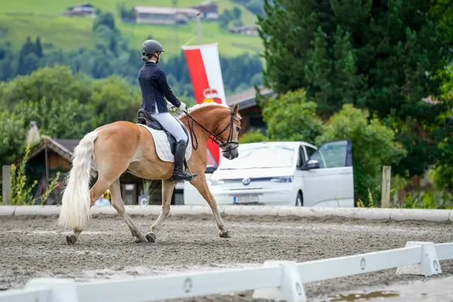 Anja Genyk (S-LM VS Haflinger allgemeine Klasse Dressur).
 | Foto: Stefanie Karner Fotografie