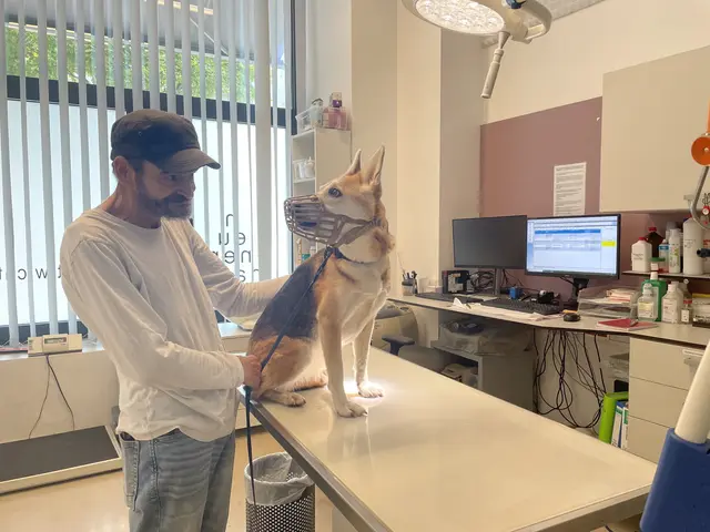 Schiri und Mario gehören seit 12 Jahren zusammen und sind sehr zufrieden mit dem Neunerhaus. | Foto: Kristóf Paksánszki/MeinBezirk