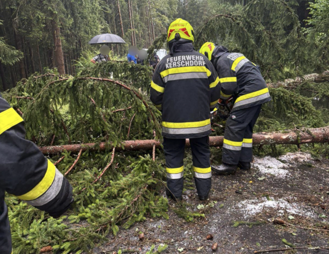 Kärntenweit sei es zu insgesamt zirka 15 Einsätzen gekommen. | Foto: FF Kerschdorf/Velden