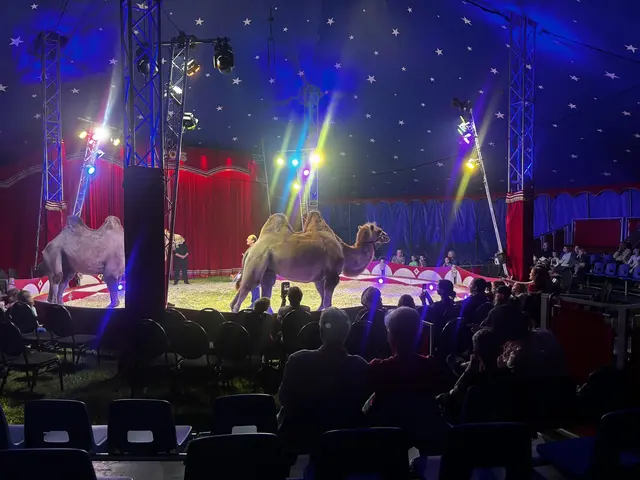 Impression aus der Show