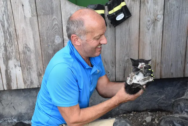Bezirksfeuerwehrkommandant Hansjörg Eberharter mit der geretteten Katze.  | Foto: Zoom Tirol