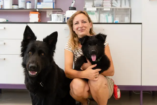 Eva Wistrela-Lacek leitet seit 15 Jahren die neunerhaus Tierarztpraxis. | Foto: Christoph Liebentritt
