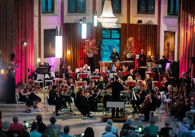 Das Mödlinger Symphonische Orchester war auf Konzertreise. | Foto: MSO