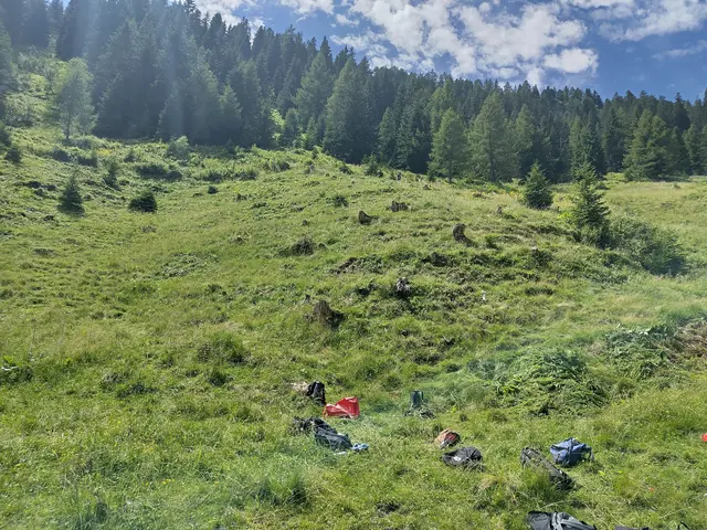 geschwendete Almfläche | Foto: Biosphärenparkmanagement Lungau