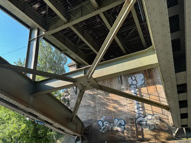 Statt den Netz wolle man bald ein Gitter installieren, um tierische Probleme in Zukunft zu vermeiden. | Foto: Nathanael Peterlini/MeinBezirk