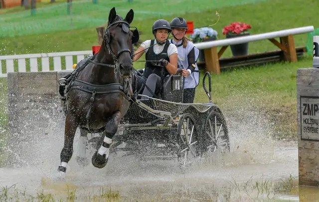 Foto: Gerhard Pulsinger (52)