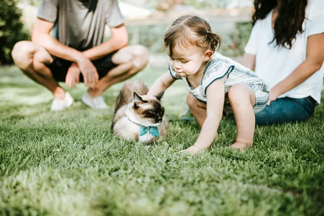 Foto: Unsplash/Chewy