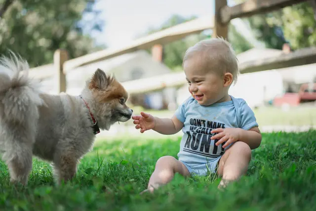 Foto: Unsplash/zachary-kadolph