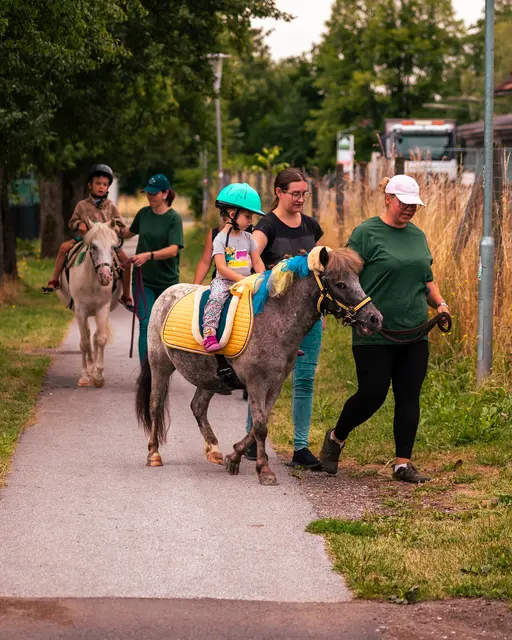 Abbiegen nach links ohne Blinker | Foto: Ekiz