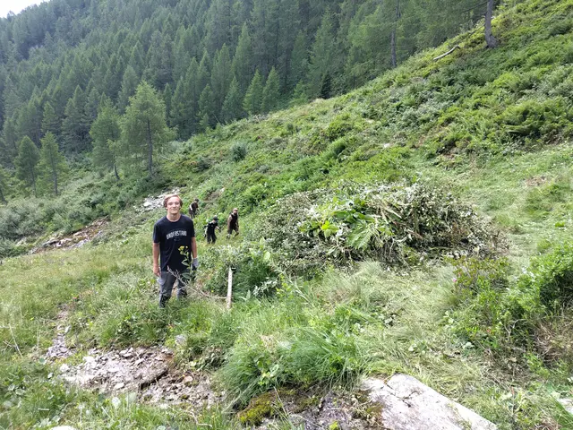 Mannshoher Haufen aus dem zusammengetragenem Schnittgut | Foto: Biosphärenparkmanagement Lungau