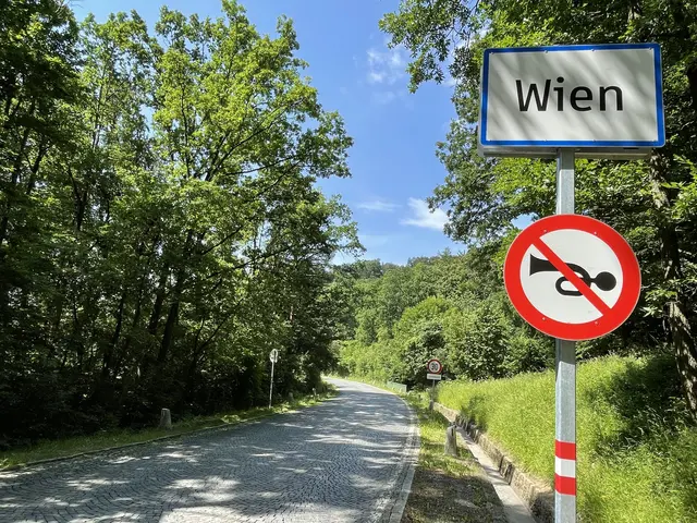 In dem Gebiet verläuft die Höhenstraße. | Foto: Michael J. Payer