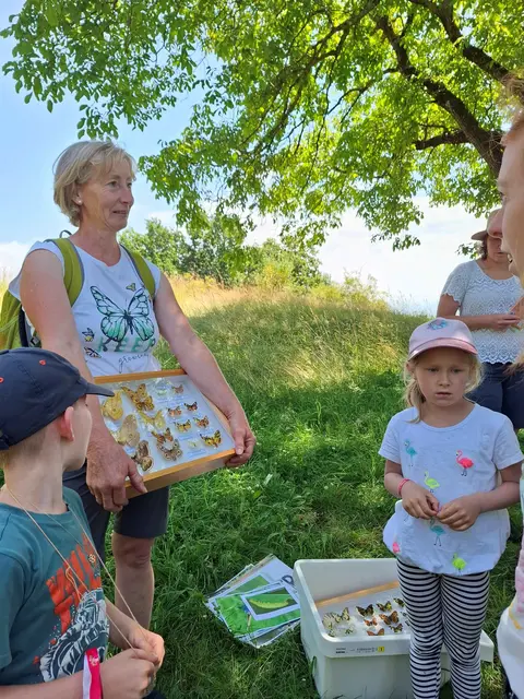Schmetterlingswanderung im Naturpark Muehlviertel. | Foto: Sabine Eilmsteiner