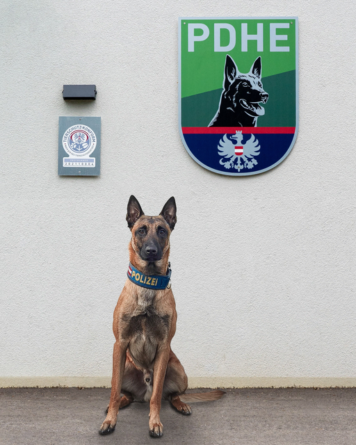 Die mutmaßliche Tatwaffe konnte von dem Polizeihund "Maddox" aufgespürt werden. | Foto: LPD Wien