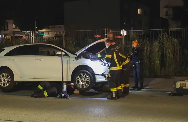 Ein Kätzchen hielt die Einsatzkräfte in der Welser Innenstadt auf Trab und verkroch sich unter mehreren Motorhauben hintereinander. | Foto: laumat.at