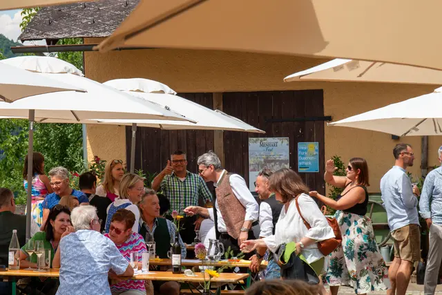 Foto: Weingut Menhart