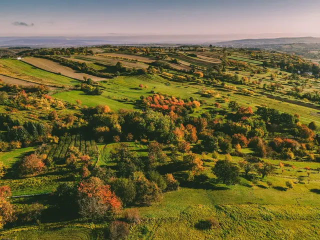 Ziel ist es, den Naturpark Rosalia-Kogelberg als Modellregion für gelebten Naturschutz, Biodiversität und nachhaltige Entwicklung weiter auszubauen. | Foto: MeinBezirk Regionauten Community