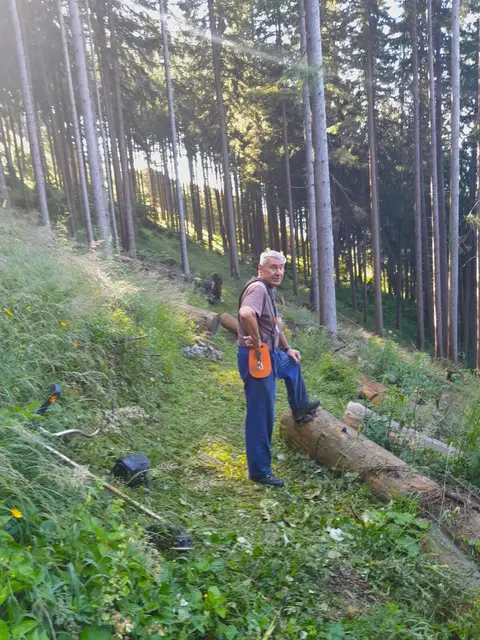 Freiwilliger Arbeitseinsatz 