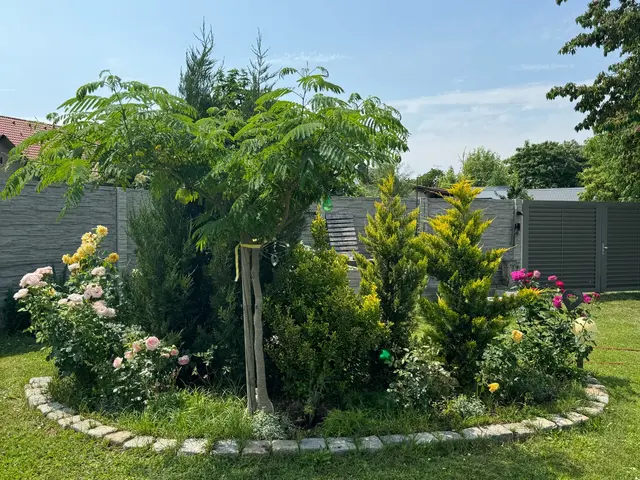 Nemeth`s Garten ist ein toller Ort für Kleingetier und Insekten. | Foto: Gabriela Nemeth