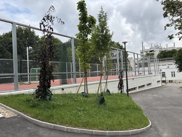 Der Turnsaal mit Sportplatz am Dach ist bereits fertig und wird seit Anfang des Jahres genutzt.  | Foto: Laura Rieger/MeinBezirk