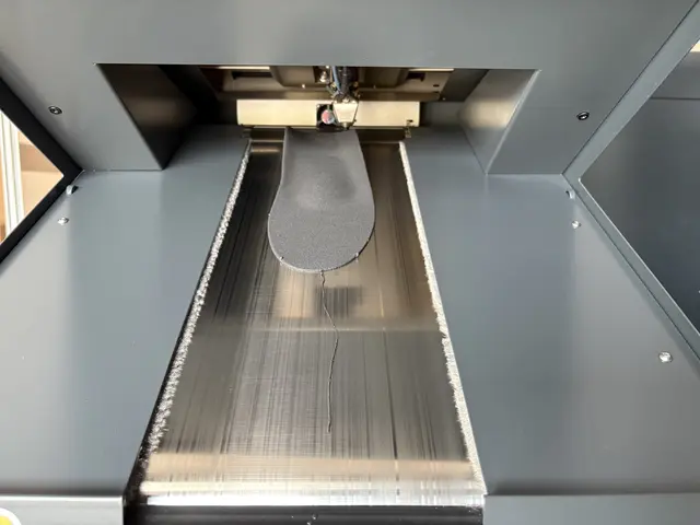 Einlagen 3D-Druck | Foto: GZ Pilz