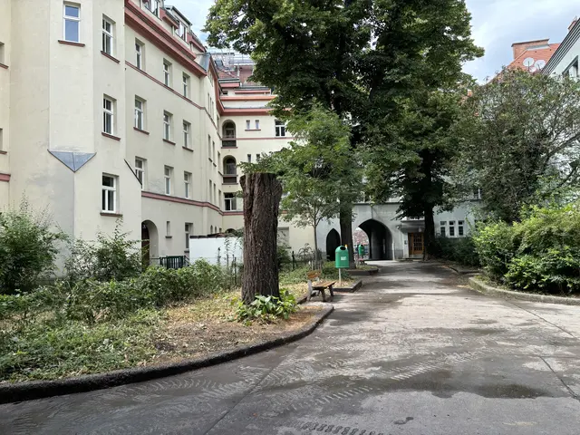 Die anderen beiden großen Bäume im Innenhof müssen nicht gefällt werden.  | Foto: Luca Arztmann/MeinBezirk