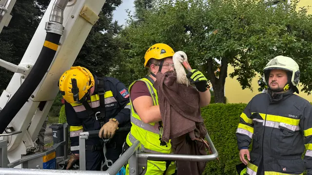 Die Feuerwehr rettete einen Storch. | Foto: Jakob Glawogger / FF Spielberg