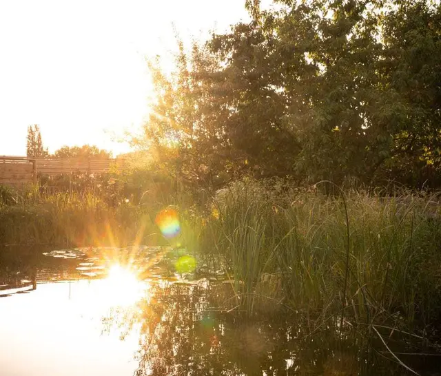 Ein Naturgarten ist mehr als nur ein gepflegtes Stück Land. Isabella Papp fördert die Tier- und Naturvielfalt in ihrem Garten täglich. | Foto: Isabella Papp