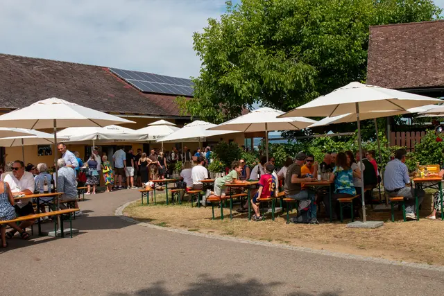 Foto: Weingut Menhart