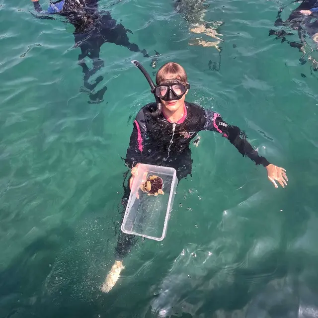 Foto: IMS Langenhart